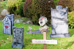 Halloweem-Birkegaardens-Haver-okt-24-abw-57-scaled