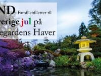 Vind familiebilletter til den store Farverige jul i Birkegårdens Haver