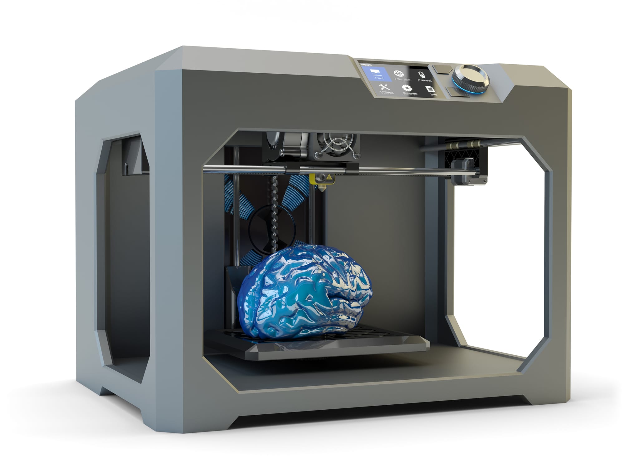 Pirat Rummet blotte 3D gennembrud: Nu kan alle printe en interaktiv model af hjernen | Dit  Korsør