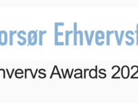 Erhvervs Awards 2021